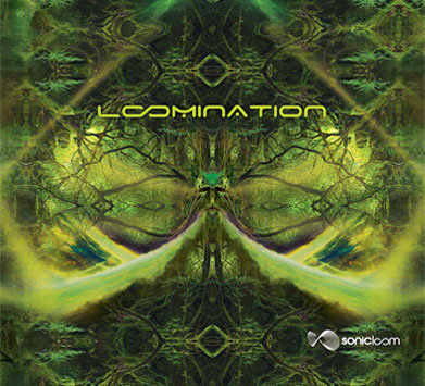 V​.​A. - Loomination