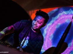 ∞ Sonic Loom Photo Gallery