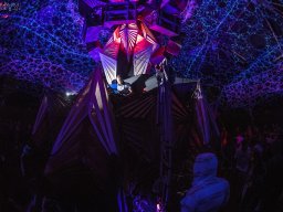 ∞ Sonic Loom Photo Gallery