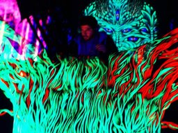 ∞ Sonic Loom Photo Gallery