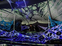 ∞ Sonic Loom Photo Gallery