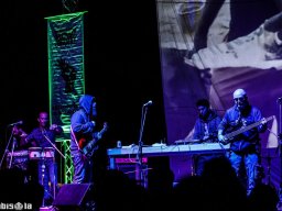 ∞ Sonic Loom Photo Gallery