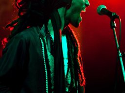 ∞ Sonic Loom Photo Gallery